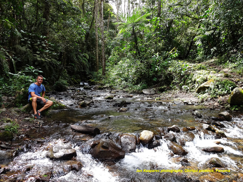 Chiriqui-boquete-sendero-de-los-quetzales.jpg, 464kB