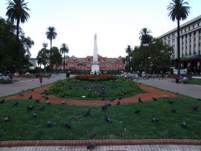 Buenos Aires, holuby na plaza - Buenos Aires 2009