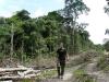 cestou necestou - Brazílie- Amazonie a Manaus