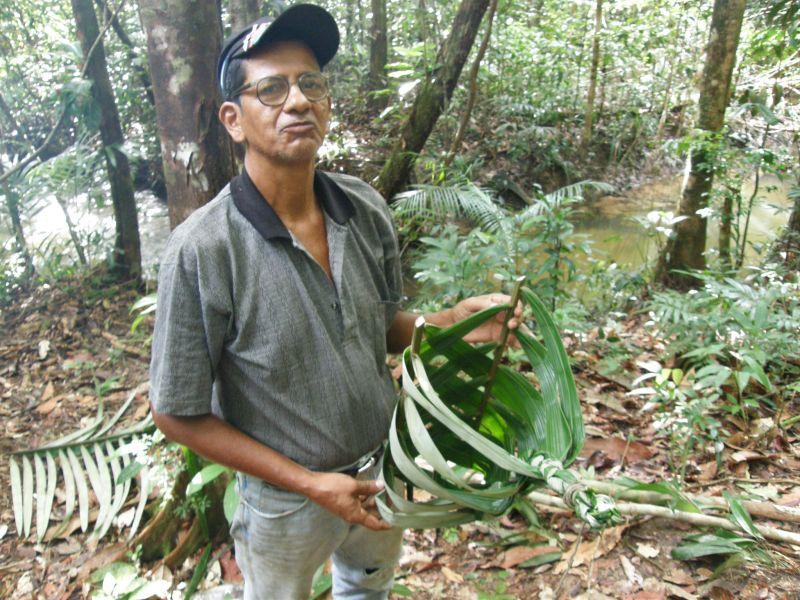 Koš z palmového listu dokončen - Brazílie- Amazonie a Manaus