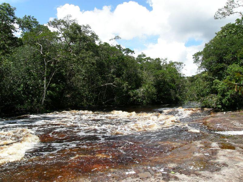 Krása pralesní řeky - Brazílie- Amazonie a Manaus