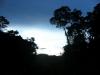 noční prales - Brazílie- Amazonie a Manaus