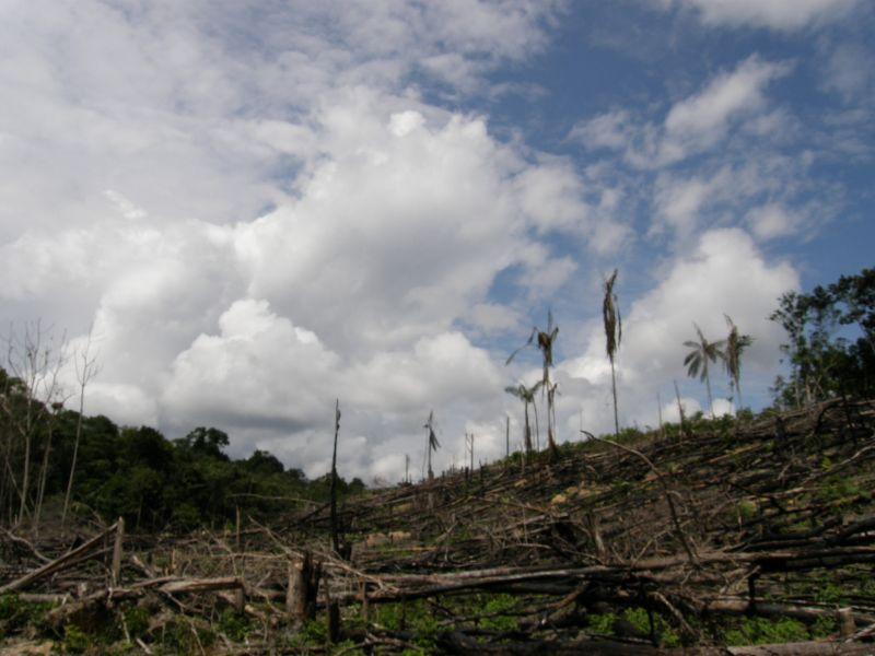 po nás potopa... - Brazílie- Amazonie a Manaus