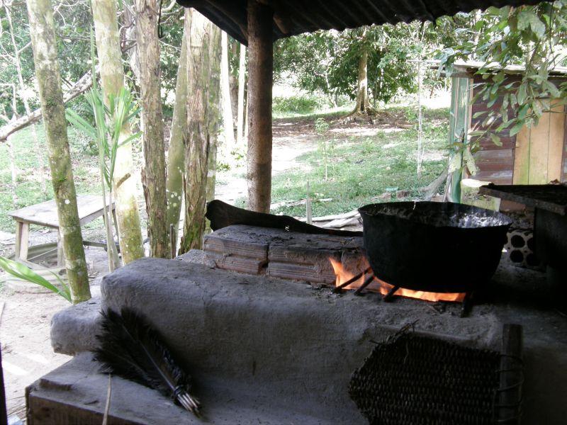 polívčička - Brazílie- Amazonie a Manaus