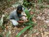 Raimundo vyrábí koš z palmového listu - Brazílie- Amazonie a Manaus