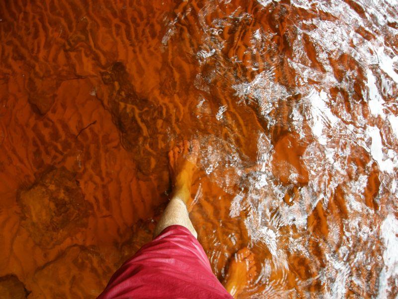 řeka barvy kofoly - Brazílie- Amazonie a Manaus