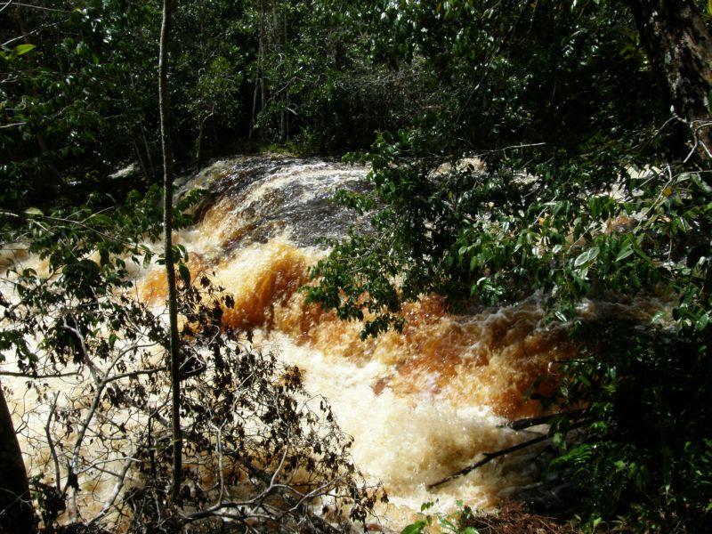 řeka se žene pralesem 2 - Brazílie- Amazonie a Manaus