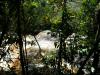 řeka se žene pralesem - Brazílie- Amazonie a Manaus
