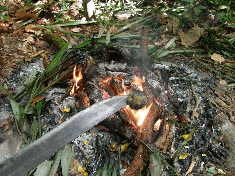 snídaně: pečená pupunha - Brazílie- Amazonie a Manaus