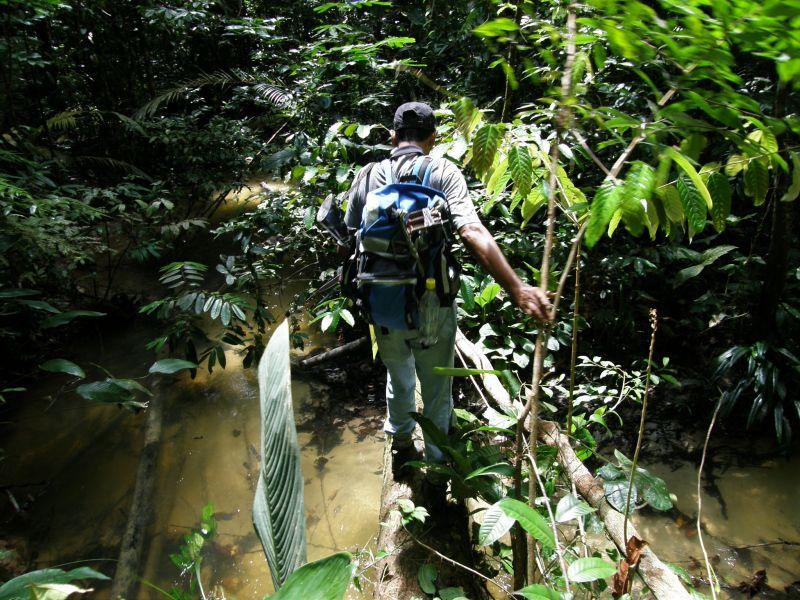 Ve stopách Raimunda přes řeku - Brazílie- Amazonie a Manaus