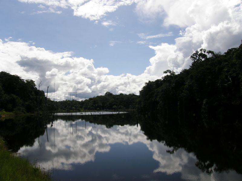 Vhled do pralesa - Brazílie- Amazonie a Manaus