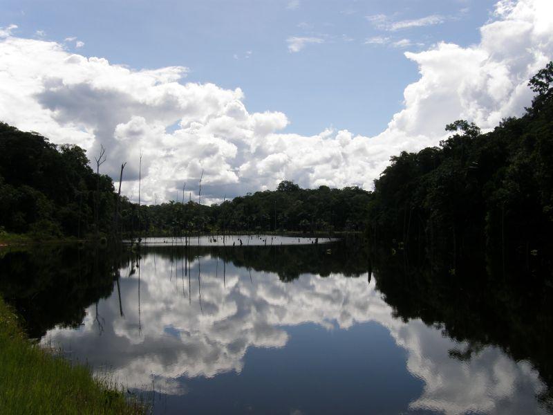 Vhled do pralesa 3 - Brazílie- Amazonie a Manaus