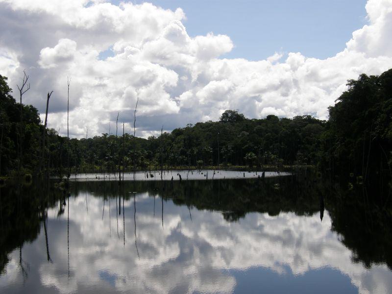 Vhled do pralesa 4 - Brazílie- Amazonie a Manaus