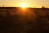 Slunce zapadá před posvátným Uluru - Centrální Austrálie