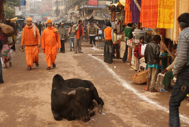 India - Holy city of Varanasi photo no. 9