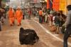 Photo gallery India - Holy city of Varanasi - no.9