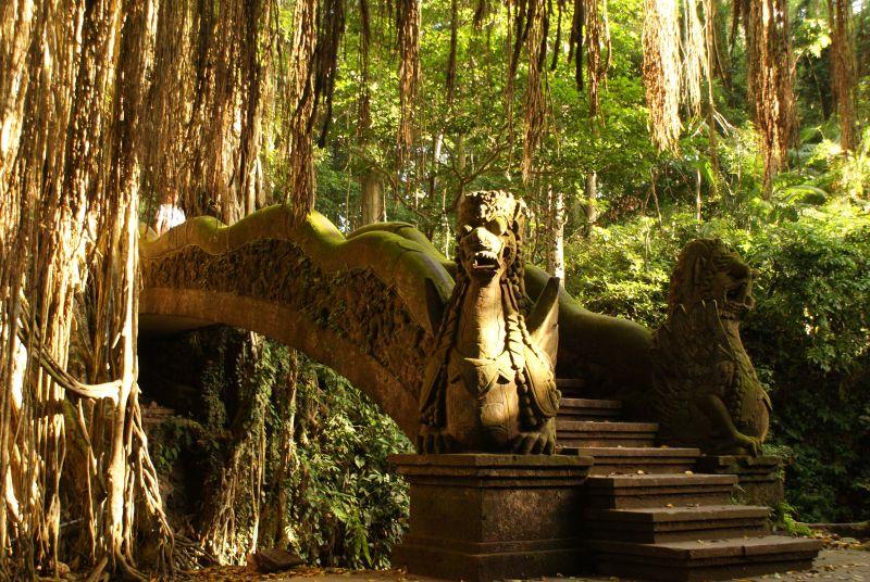 Most ve Monkey Forest, Ubud - Indonésie- Bali