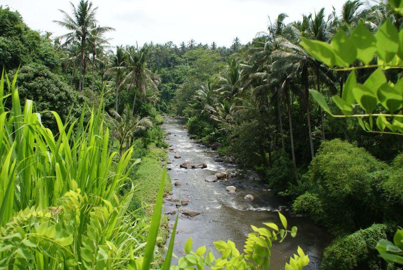 Okolo Ubudu - Indonésie- Bali