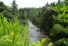 Okolo Ubudu - Indonésie- Bali