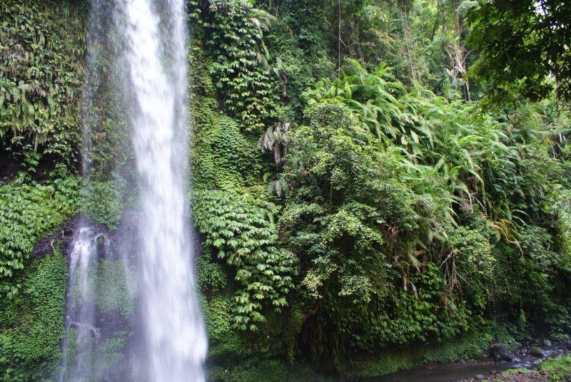 První vodopád poblíž Senaru 2 - Indonésie- Lombok