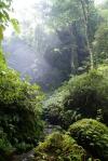 Světlo v páře vodopádů 2 - Indonésie- Lombok