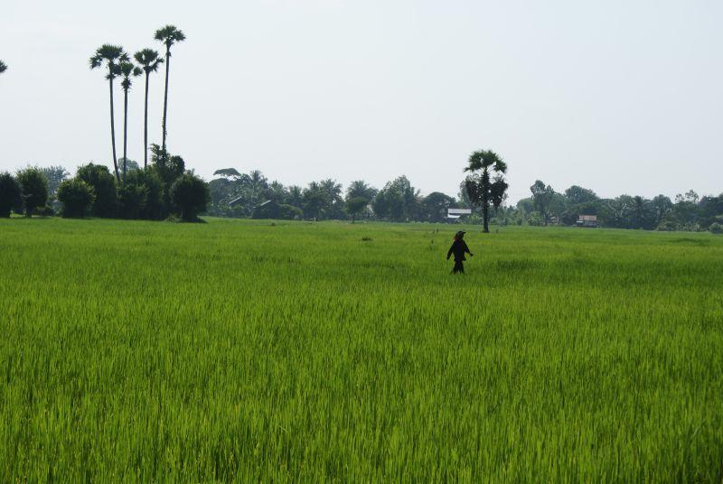 Cambodia- capital Phnomhpenh and its surroundings photo no. 25