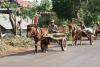 Vesnická jízda - Kambodža- Phnompenh a okolí