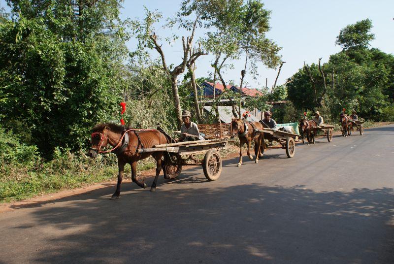 Cambodia- capital Phnomhpenh and its surroundings photo no. 34