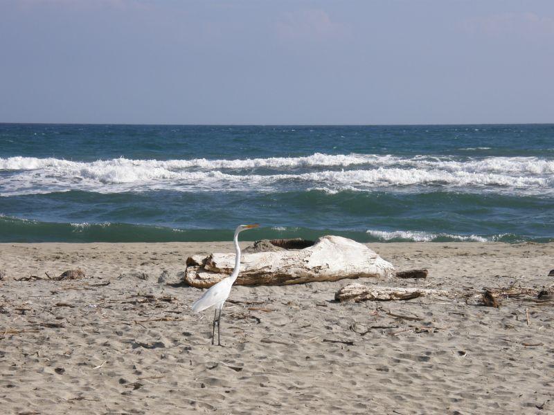 Tayrona beach - Kolumbie