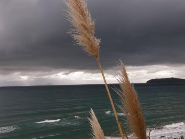 Barvy Coromandel Peninsula - Nový Zéland