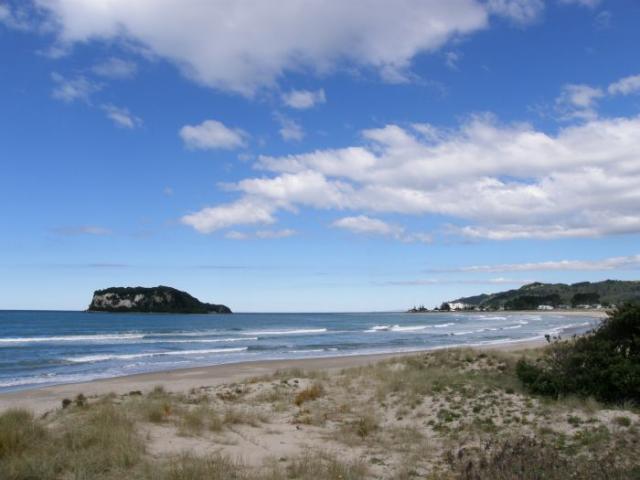 New Zealand photo no. 23