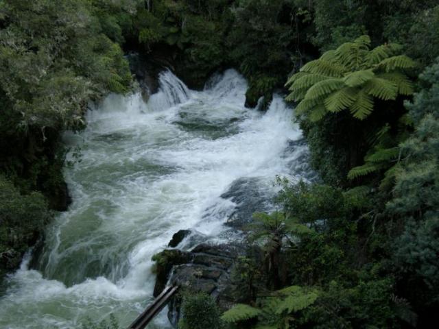 New Zealand photo no. 25