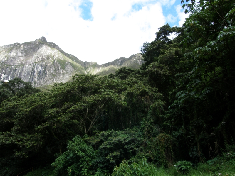 Peru- Machu Picchu and Aguas Calientes photo no. 5