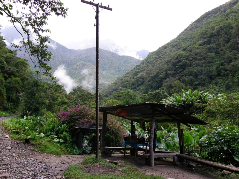 Peru- Machu Picchu a Aguas Calientes - 8 - Peru- Machu Picchu a Aguas Calientes