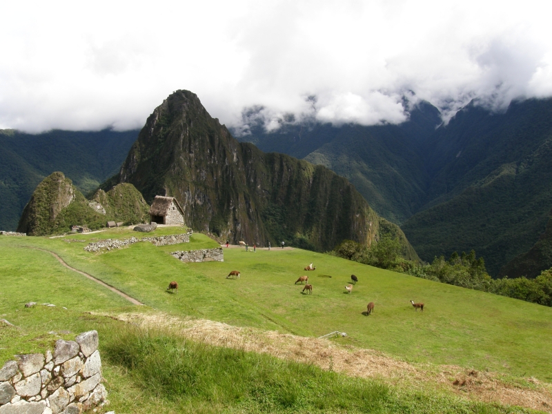 Peru- Machu Picchu a Aguas Calientes - 82 - Peru- Machu Picchu a Aguas Calientes