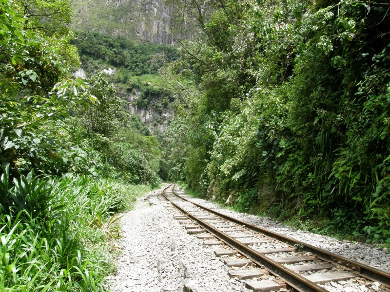 Peru- Machu Picchu and Aguas Calientes photo no. 87