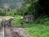 Photo gallery Peru- Machu Picchu and Aguas Calientes - no.88