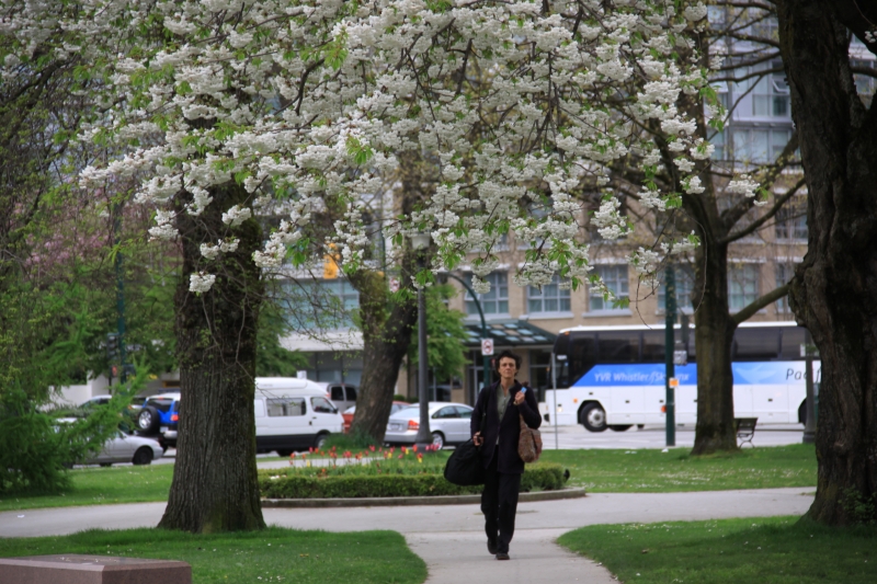 Vancouver spring 2012 photo no. 82