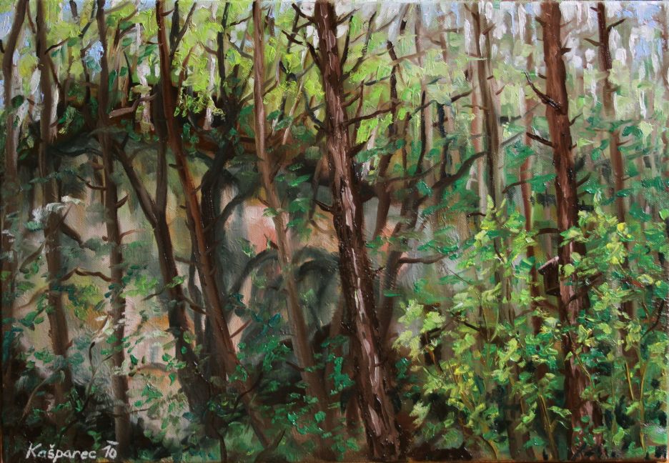 Oil painting - A rock in the woods, summer impression study