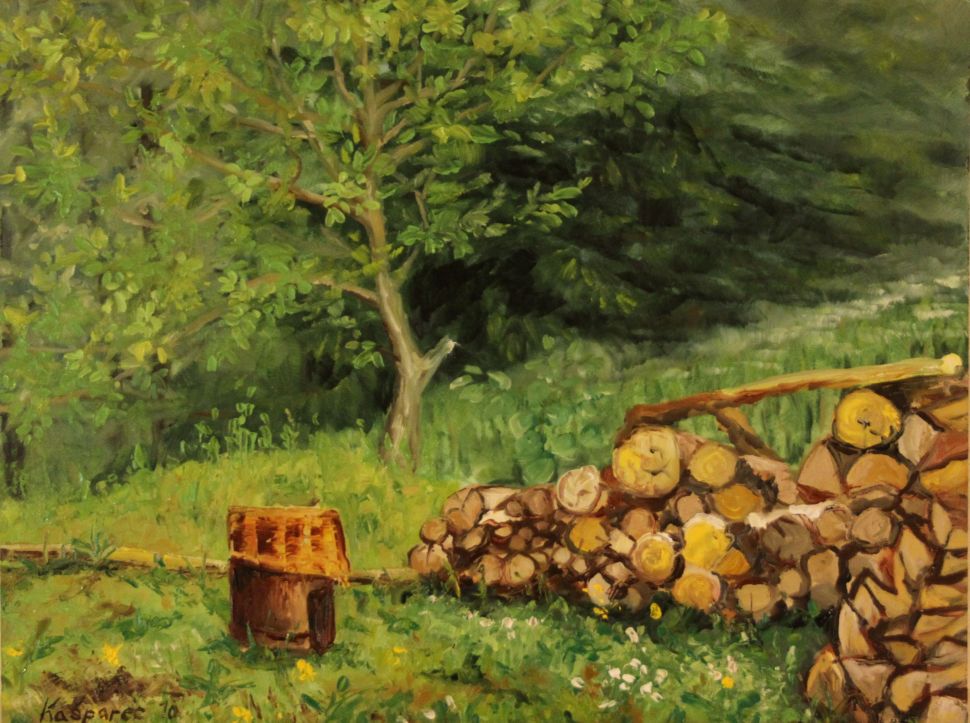 Oil painting - Heap of wood and a broiler, Bukovice
