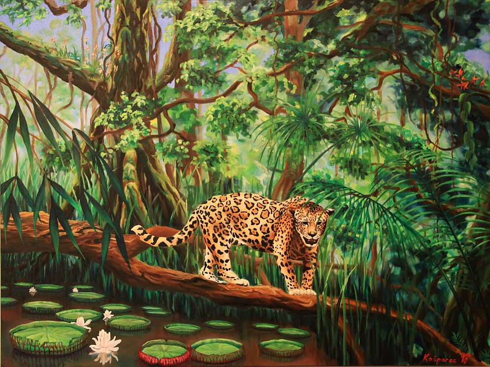 Obraz - Jaguár a Victoria Regia