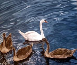 Swans II - oil painting