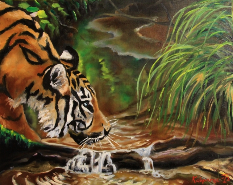 Oil painting - Drinking tiger