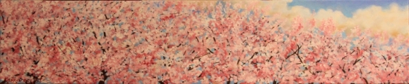 Cherry blossoms - oil painting