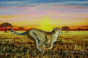 Cheetah - oil painting