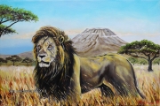 Lion-Silent Grace - oil painting