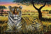 Tiger - olejomalba, obraz