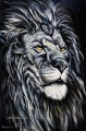 Lion 2 - oil painting